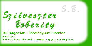 szilveszter boberity business card